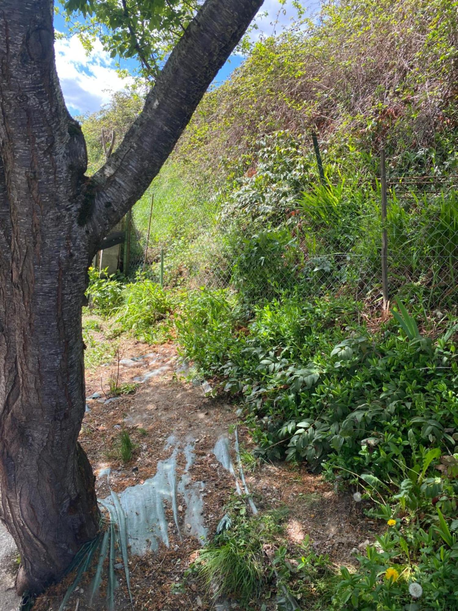 Maison Pyrénées Saint-Aventin Esterno foto